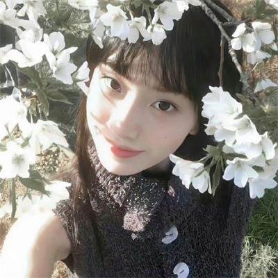 艾薇和豆豆:芭蕾必修课